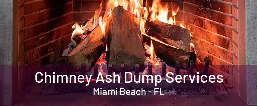 Chimney Ash Dump Services Miami Beach - FL