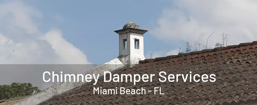 Chimney Damper Services Miami Beach - FL