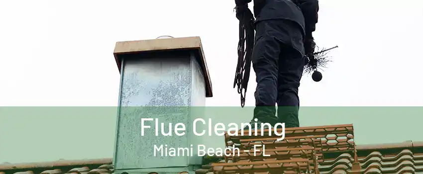 Flue Cleaning Miami Beach - FL