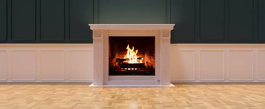 Napoleon Electric Fireplaces Inspection Service in Miami Beach, Florida