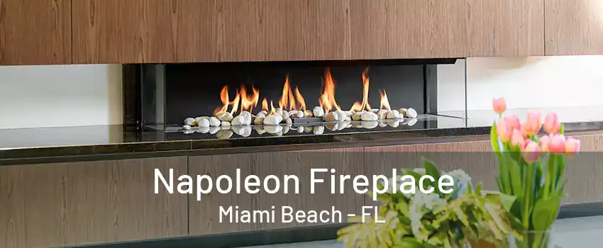 Napoleon Fireplace Miami Beach - FL